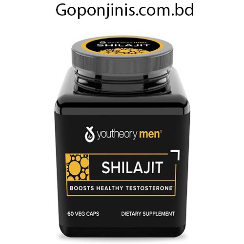 youtheory men shilajit